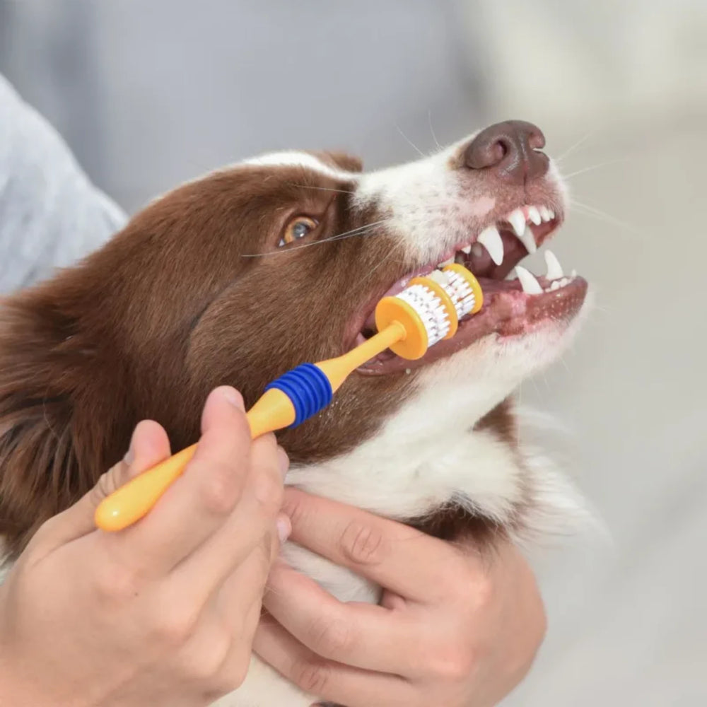 Arm & Hammer 360° Toothbrush