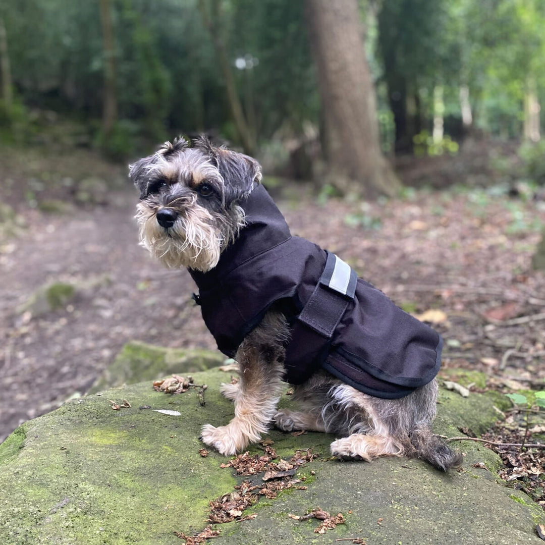 Danish Design 3-in-1 Dog Coat