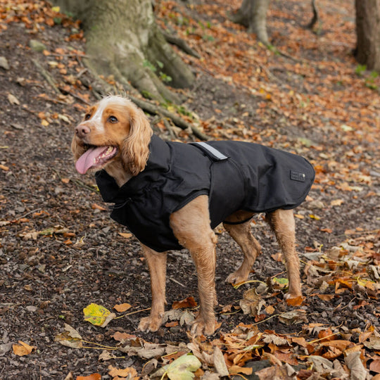 Danish Design 3-in-1 Dog Coat