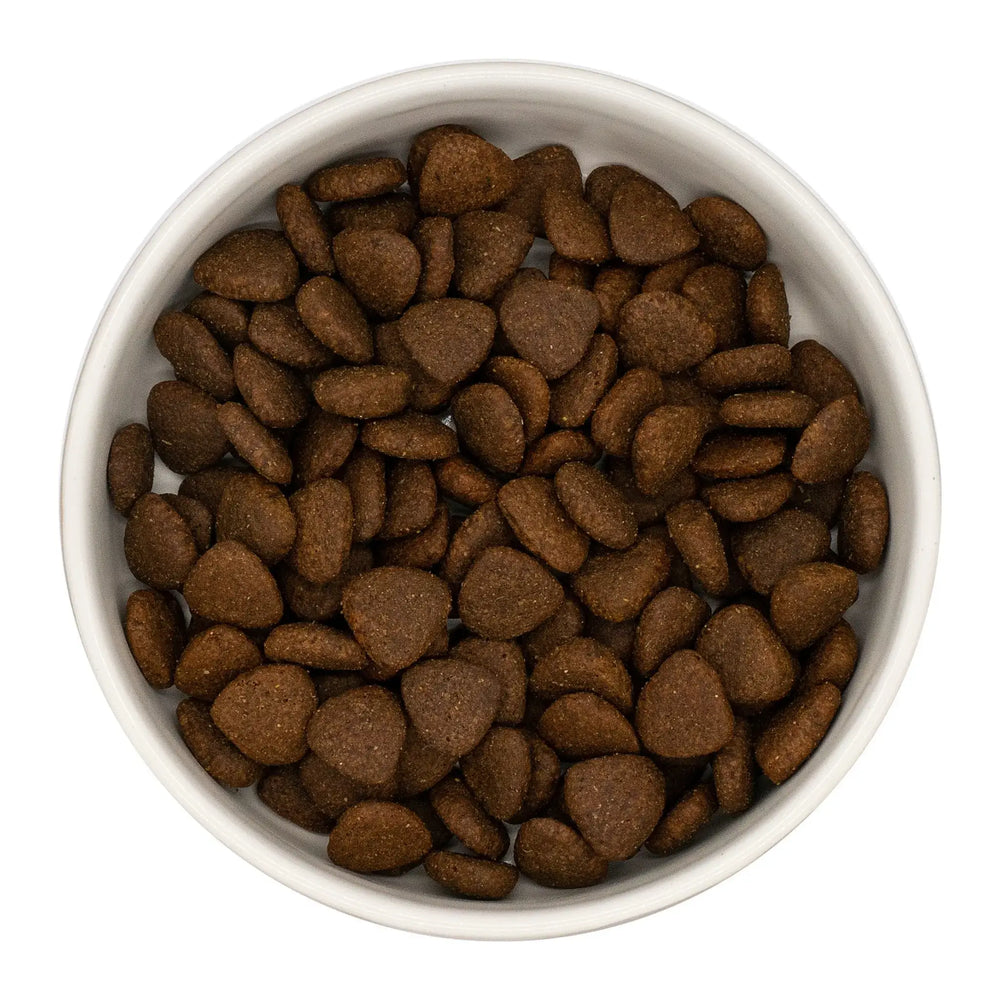 White bowl filled with brown dog food kibble pieces on a white background