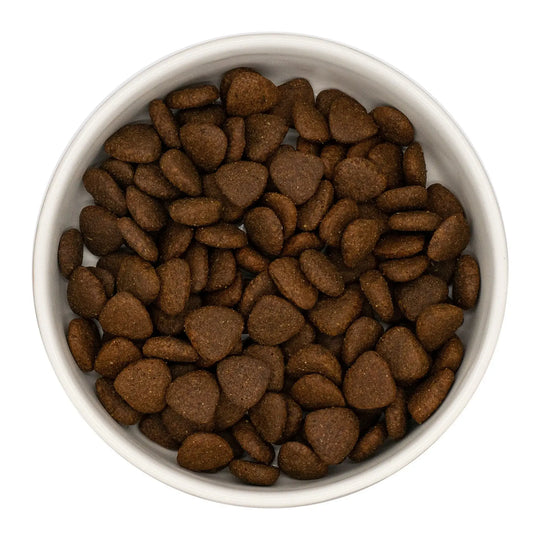White bowl filled with brown dog food kibble pieces on a white background