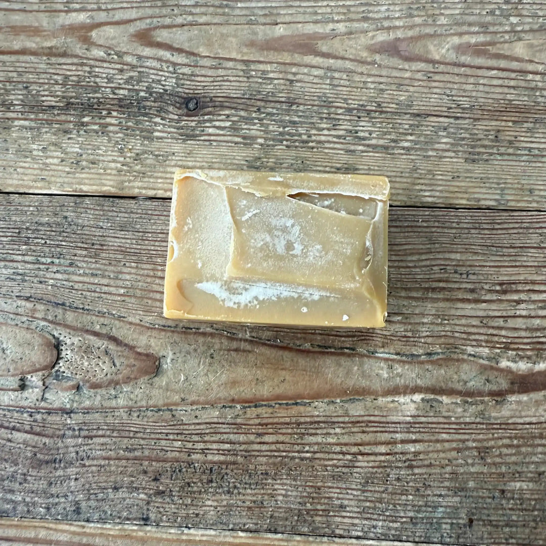 Finn's Itchy Suds Shampooch Bar