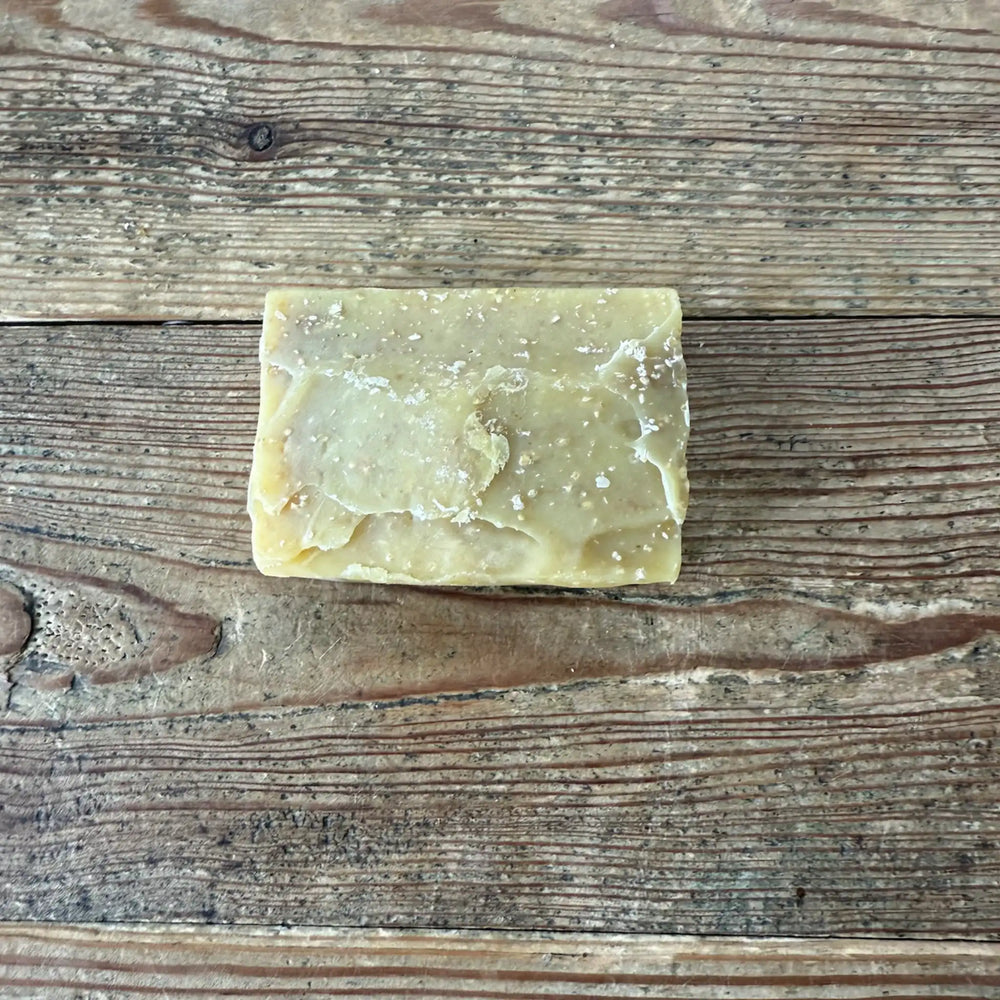 Finn's Soapy Suds Shampooch Bar