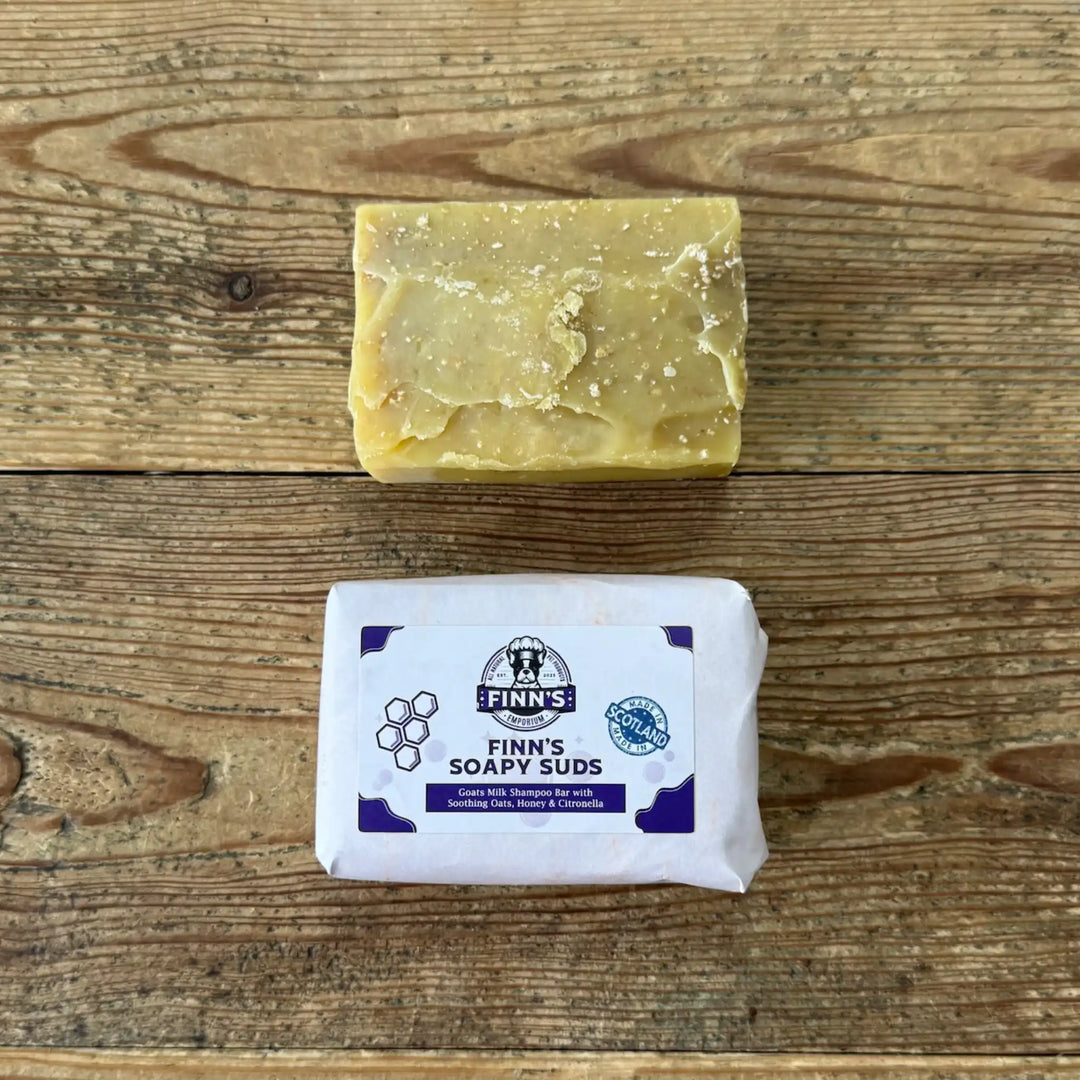 Finn's Soapy Suds Shampooch Bar