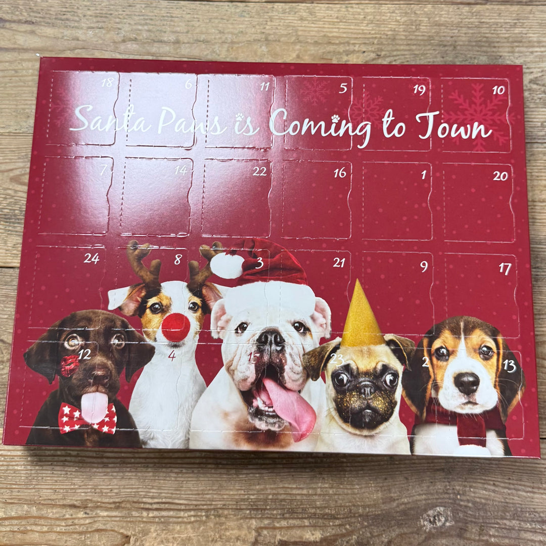 Finn's Advent Calendar