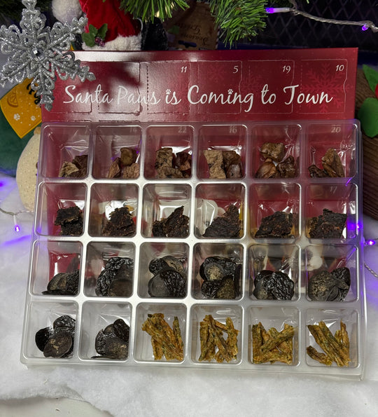 advent calendar with natural dog treats and christmas background
