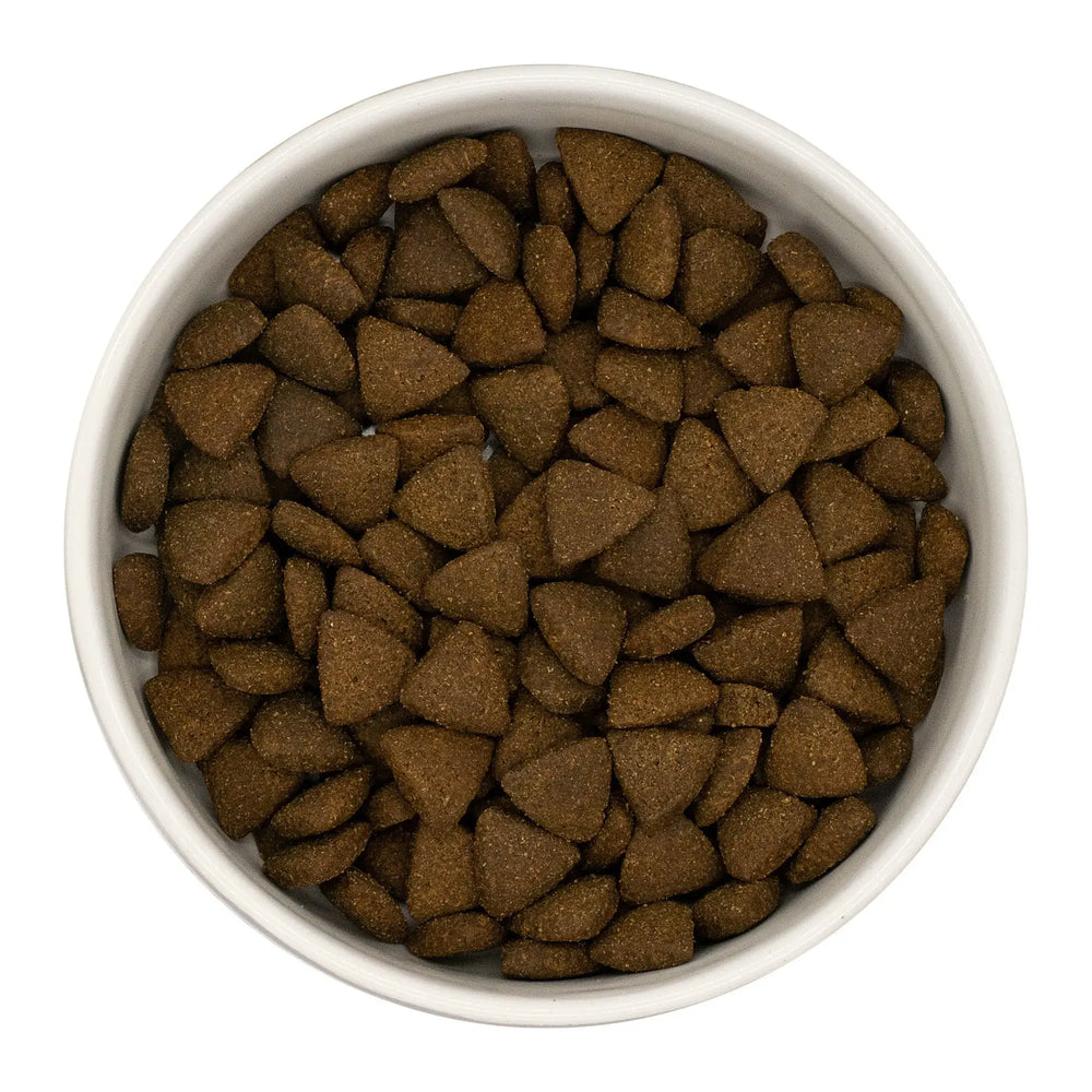 White bowl filled with brown turkey dog food on a white background