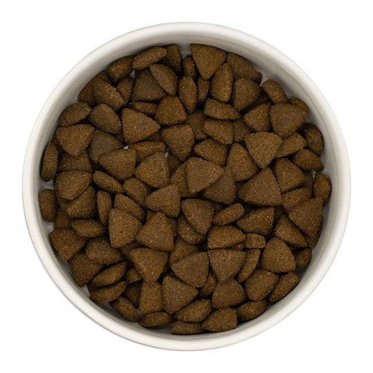 White bowl filled with brown turkey dog food on a white background