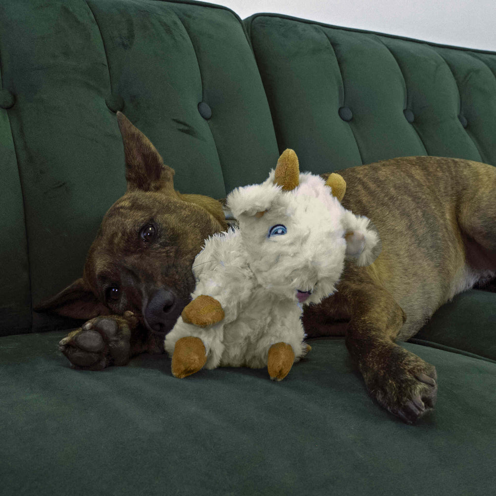 KONG - Comfort Tykes - Goat