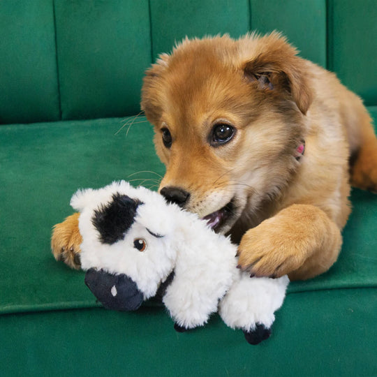 KONG - Comfort Tykes - Cow