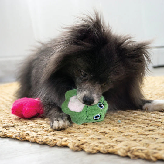 KONG - Snuzzles Mini Frog XS