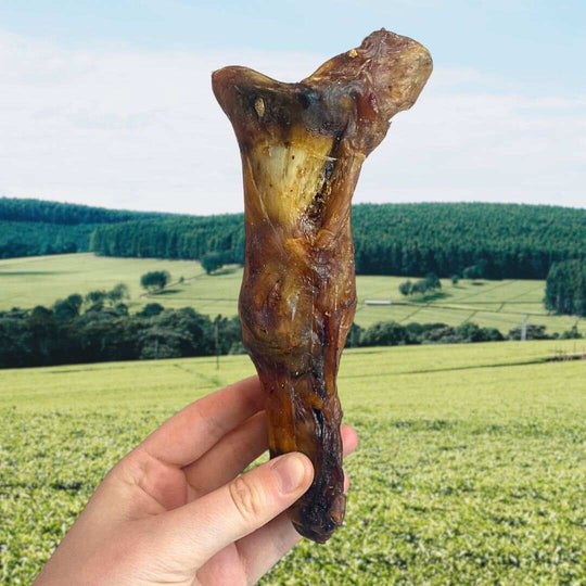 Nova - Ostrich Foot - Large