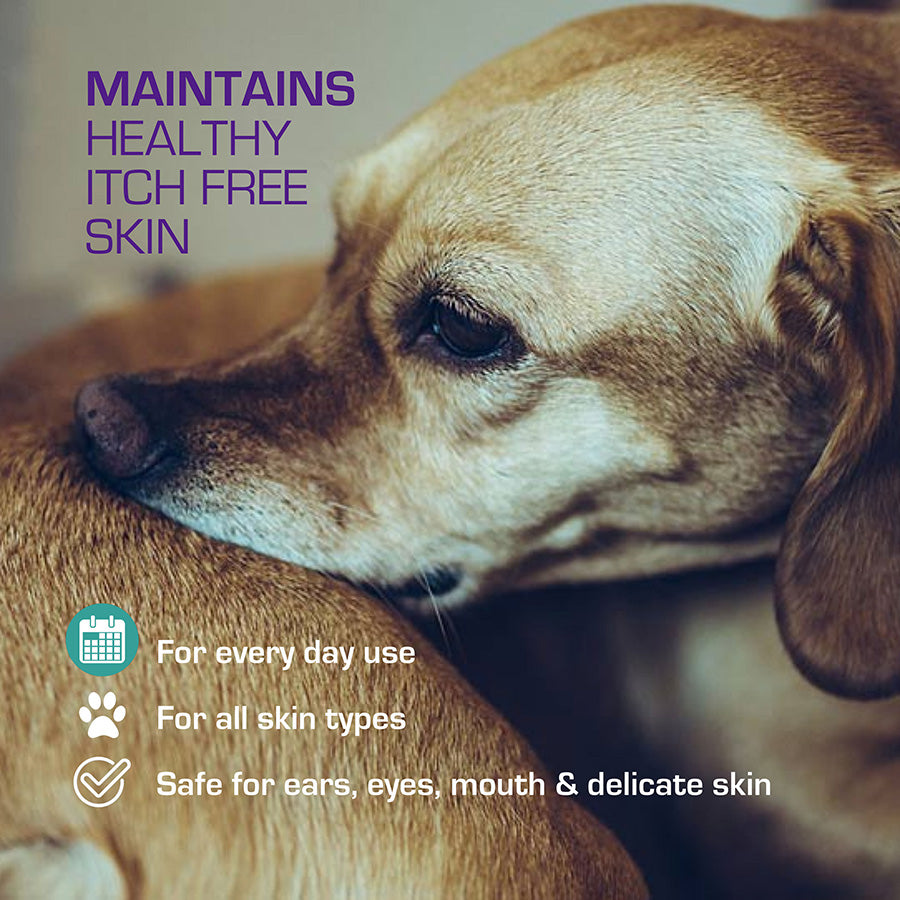 Leucillin Antiseptic Spray - Animal Skincare