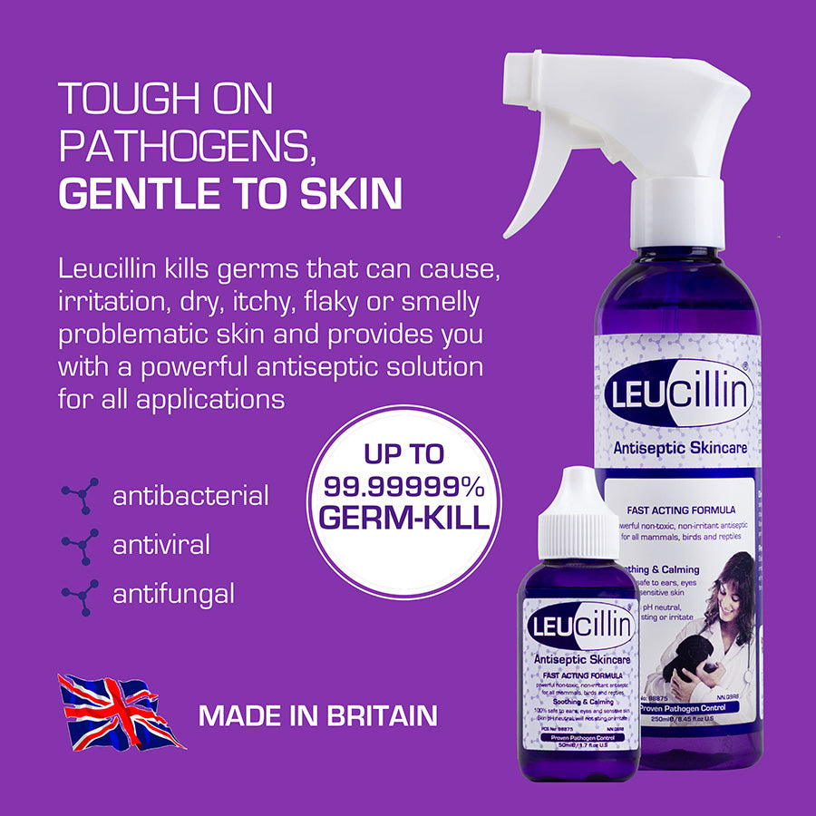 Leucillin Antiseptic Spray - Animal Skincare
