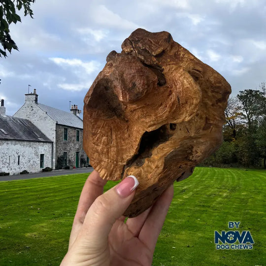 Nova - Roots Chews