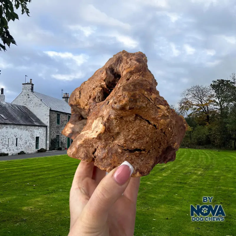 Nova - Roots Chews