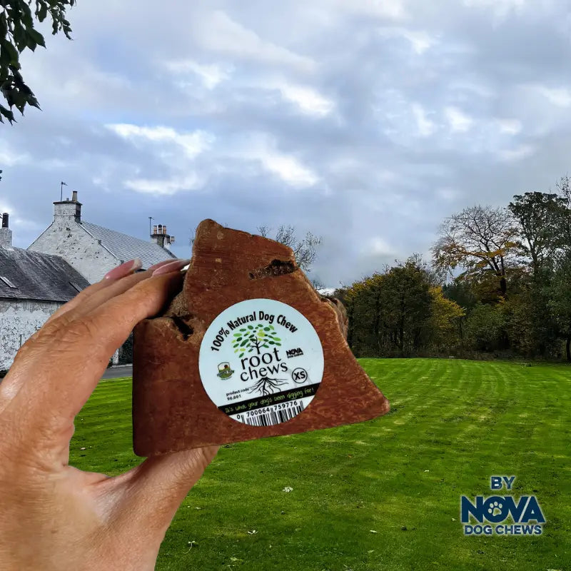 Nova - Roots Chews
