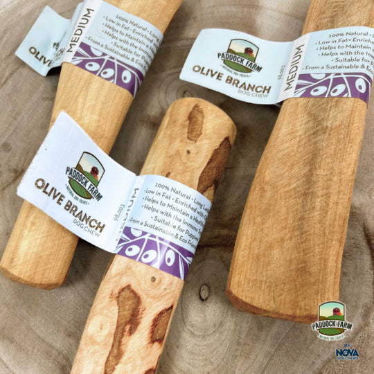Olive Branch Dog Chew
