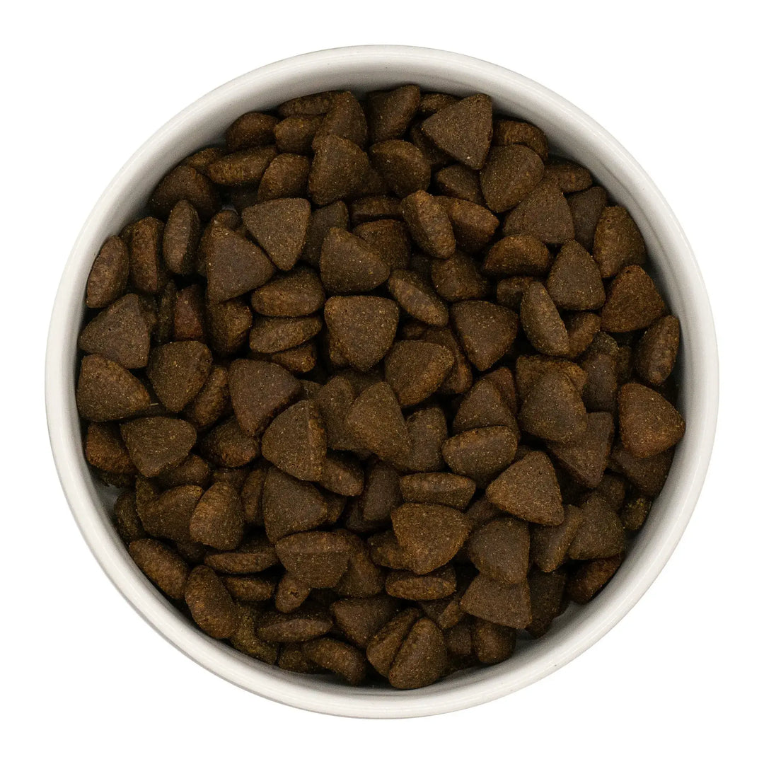 Finn's Scottish Salmon Dry Complete Dog Food