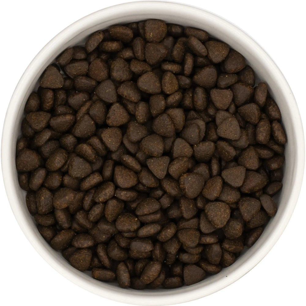 White bowl filled with brown dog kibble pieces on a white background