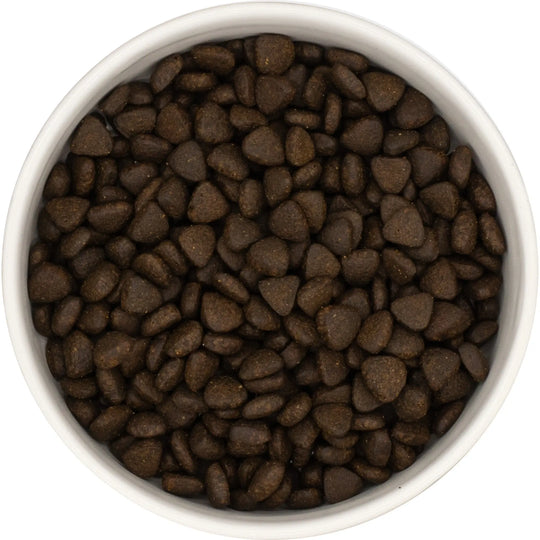 White bowl filled with brown dog kibble pieces on a white background
