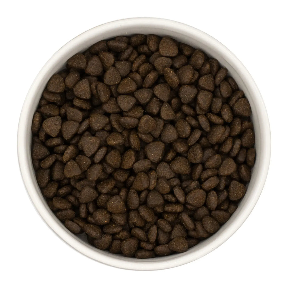 Finn's Puppy Scottish Salmon Dry Complete Dog Food