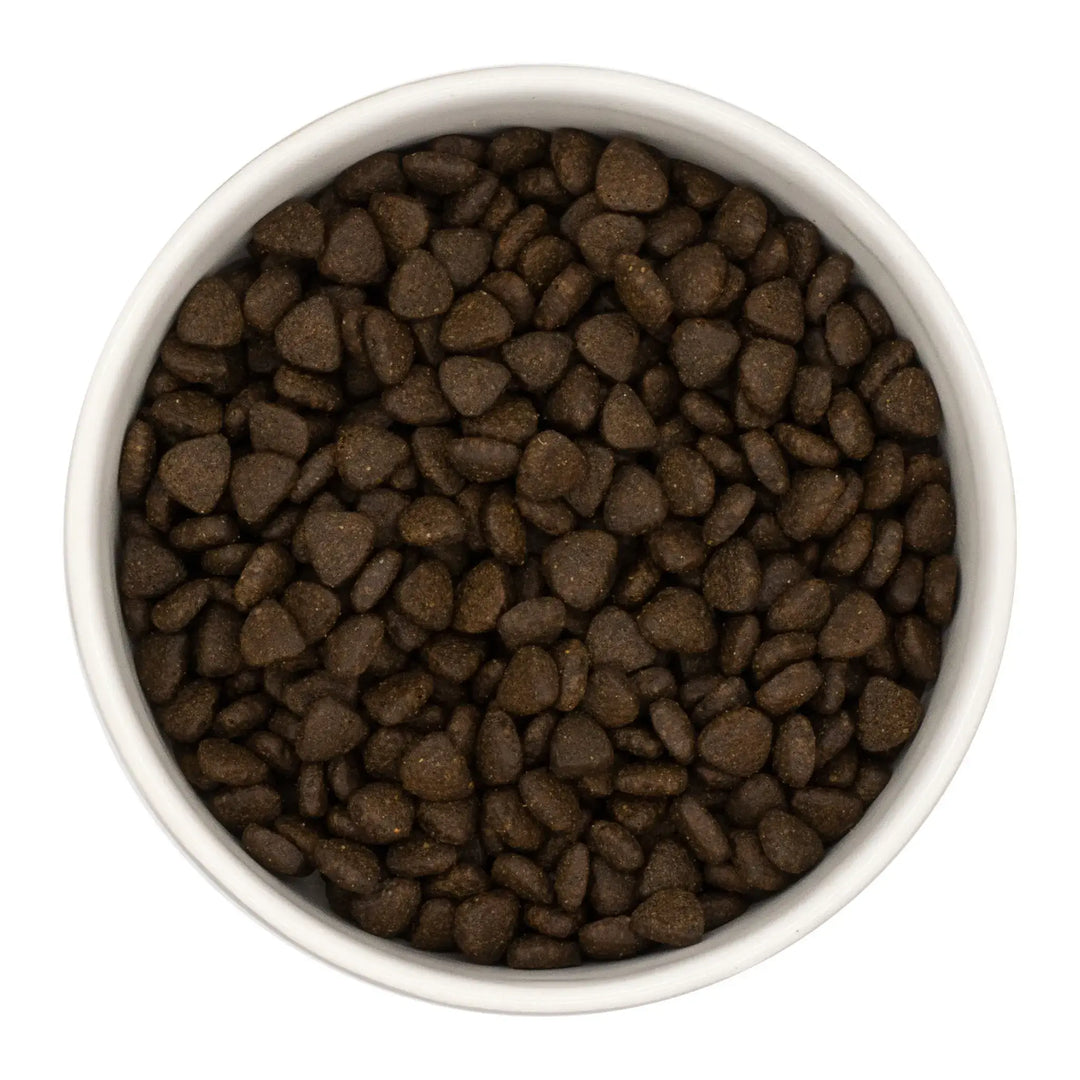Finn's Puppy Scottish Salmon Dry Complete Dog Food