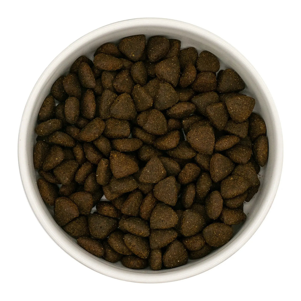 Finn's Senior Dogs Scottish Salmon Complete Dry Food