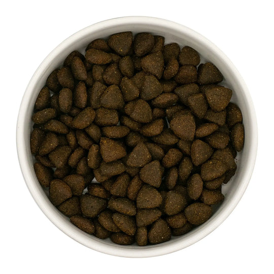 Finn's Senior Dogs Scottish Salmon Complete Dry Food