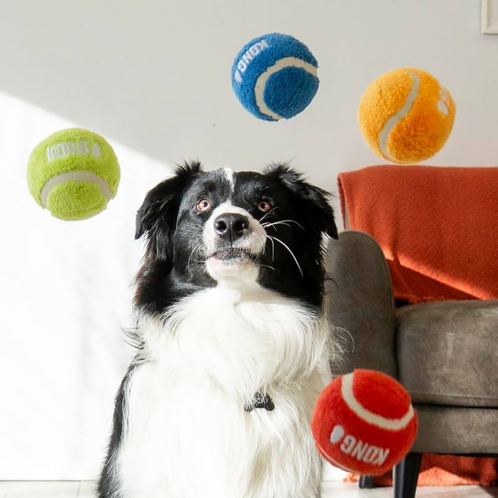 KONG - Sports Softies Balls